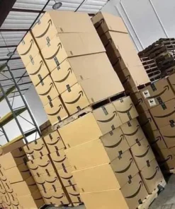 Amazon Coffin Boxes